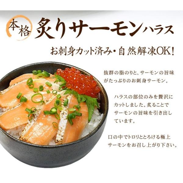 炙りサーモンハラス お刺身 140g（20切入）[[炙りサーモン