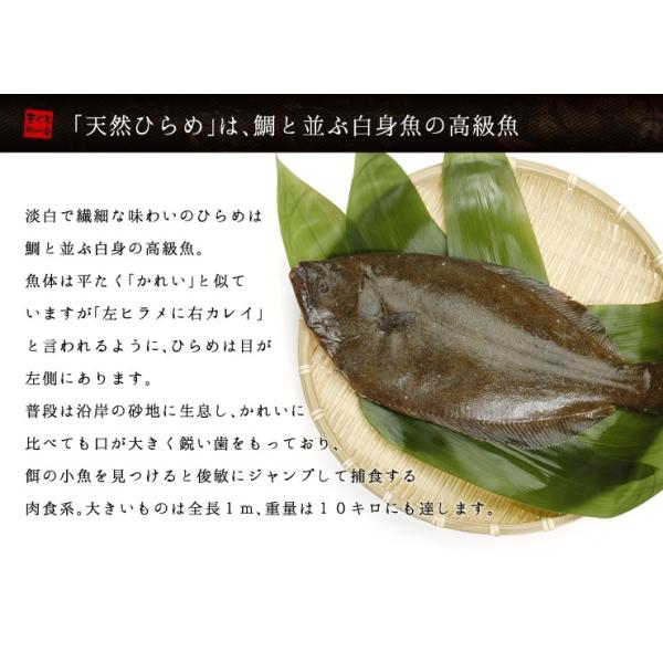 国産 ヒラメのえんがわ 100g 天然 平目 鮃 刺身 [[ひらめエンガワ] /【Buyee】