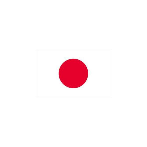 メーカー送品・ 日本国旗・日の丸 日本製 綿天竺（木綿の伝統的な天然素材）140×210cm・左上下ハトメ紐付き 知育玩具 