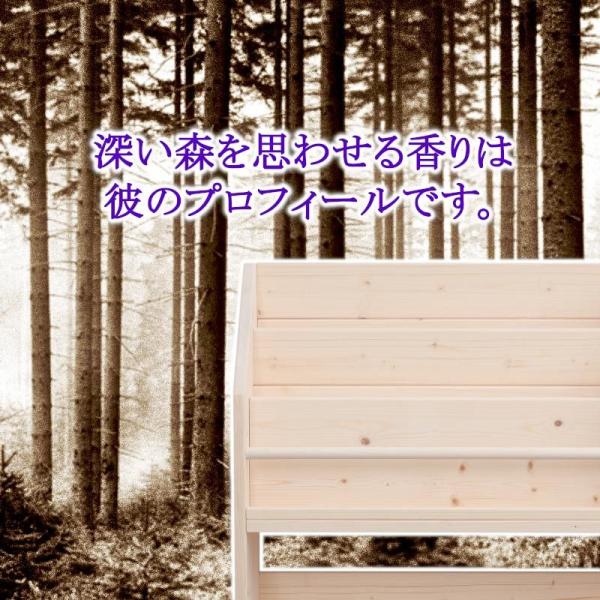 絵本棚 W98LX 完成品 ハンドメイド ワイド 大容量 収納 ラック