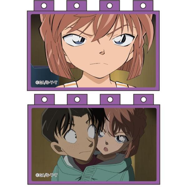 名探偵コナン アニメブロック 灰原がいっぱいコレクション