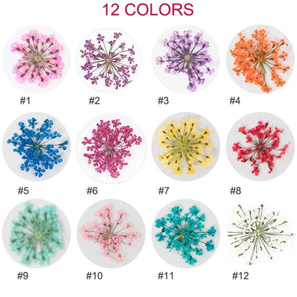 フラワー 押し花 ドライフラワー ネイル 花 12色自由選べる ネイル用品