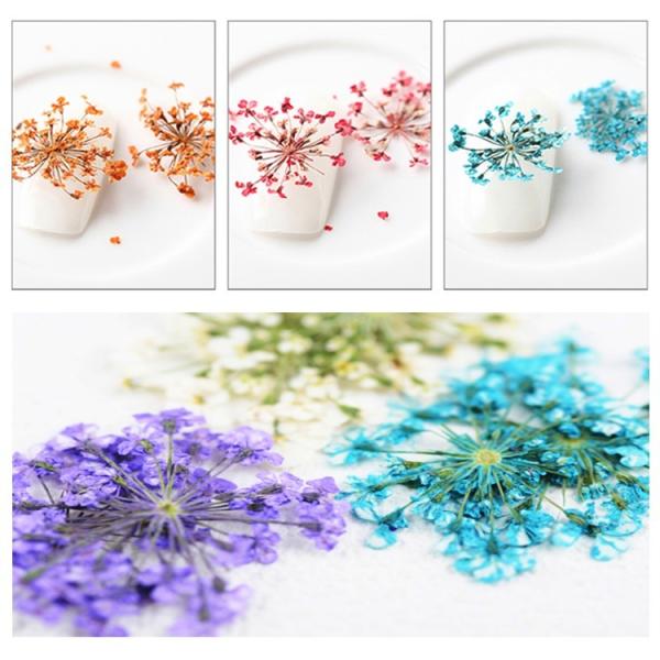 フラワー 押し花 ドライフラワー ネイル 花 12色自由選べる ネイル用品