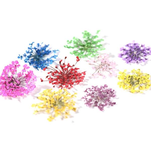 フラワー 押し花 ドライフラワー ネイル 花 12色自由選べる ネイル用品