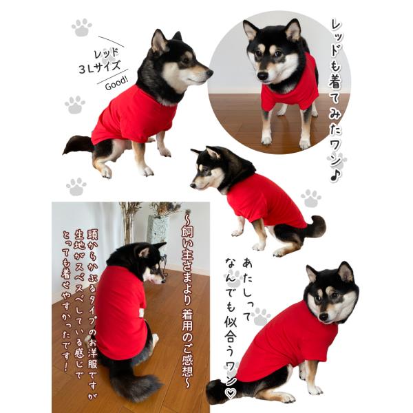名入れ犬服のびのびストレッチTシャツ自作コメント筆文字小型犬中型犬