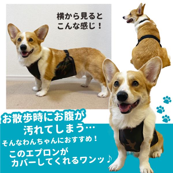 柴犬 クリアランス 泥よけエプロン