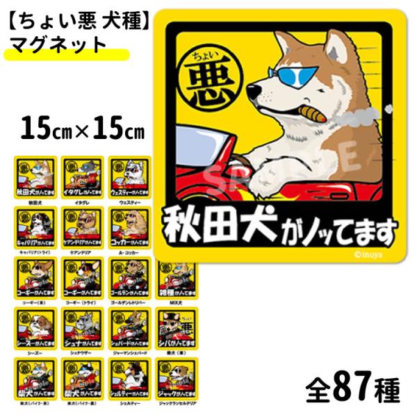 ピンバッチ いぬ イヌ 犬 コーギー 黒 A 商品追加値下げ在庫復活