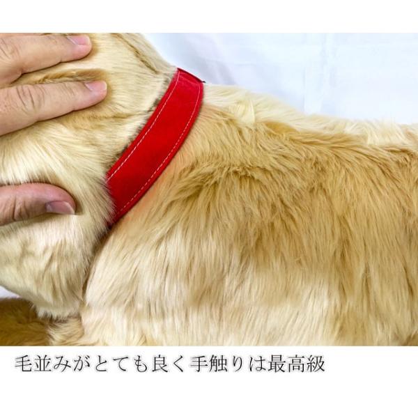 人形の吉徳 ） ぬいぐるみ 犬 ゴールデンレトリバー Lサイズ