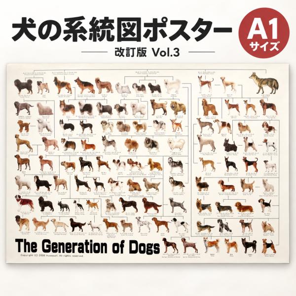 犬の系統図 ドッグジェネレーション ポスター A1サイズ Vol.3 改定版