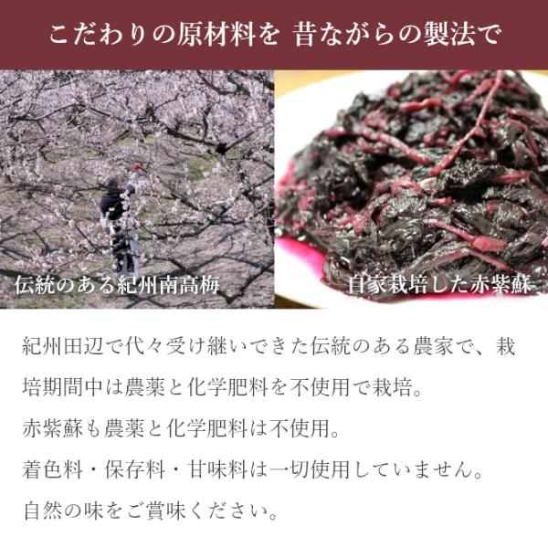 赤紫蘇 農薬不使用 1キロ シソ