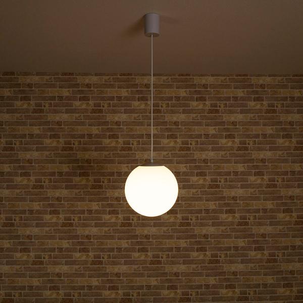 天井照明 1灯 フロスト ガラスペンダントライト 10インチ 直径25cm