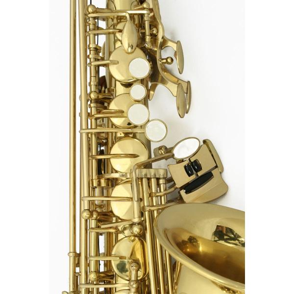 SELVA 初心者向けアルトサックス入門セット ALTOSAX SAS-100 セルバ(出荷前検品)(1年保証) /【Buyee】 Buyee -  Japanese Proxy Service | Buy from Japan!