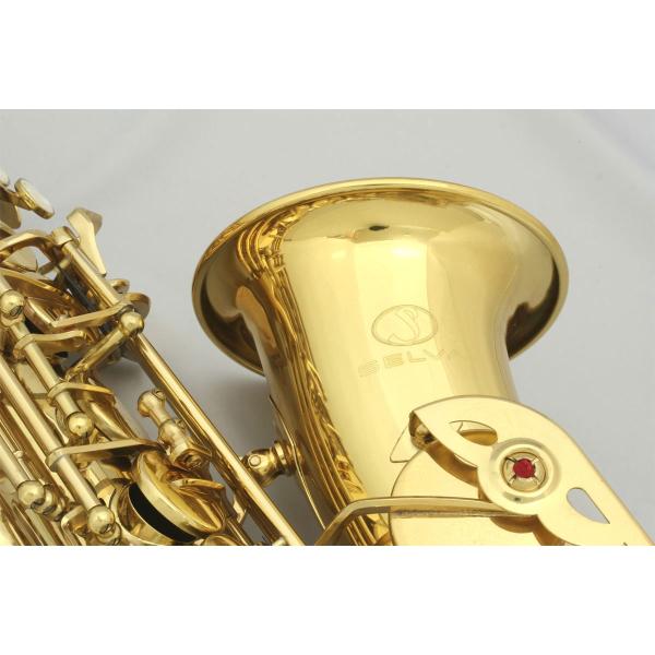 SELVA 初心者向けアルトサックス入門セット ALTOSAX SAS-100 セルバ