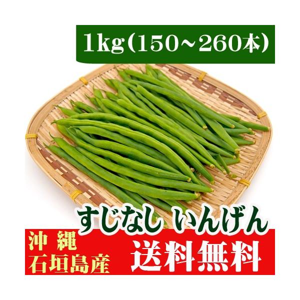 すじなしいんげん（生野菜）１ｋｇ 沖縄石垣島産 送料無料