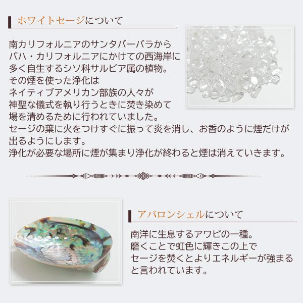 sagi-jyoka-1.jpg
