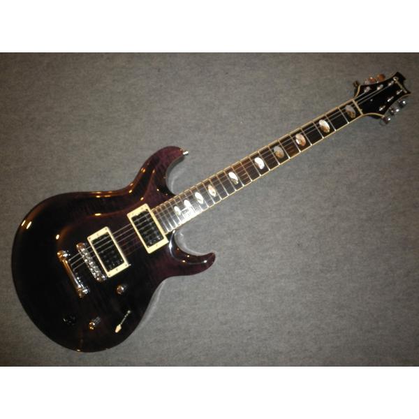 CAPARISON ANGELUS キャパリソン アンジェラスの24フレット