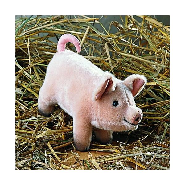 ケーセン社 イノシシの子 【公式通販】