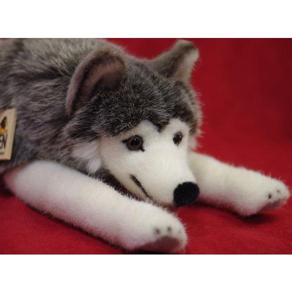 ケーセン ぬいぐるみ kosen 社ハスキー（寝そべり）33cm 犬 いぬ