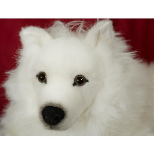 ケーセン ぬいぐるみ kosen スピッツ 伏せ 64cm Japanese Spitz Dog 犬