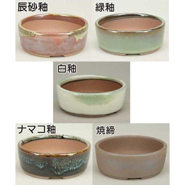 伊予路園】【盆栽鉢】 小石原焼/切立丸タイコ鉢5セット（辰砂釉