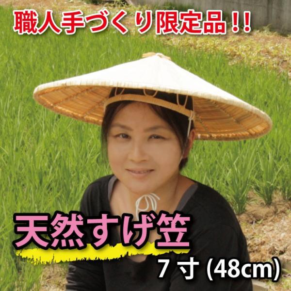 菅笠 陣笠 日除け 菅笠 日除け 日本舞踊 小道具 雨よけ 和風 小物