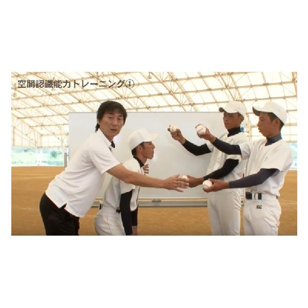 野球瞬速上達塾川端健太の「芯食いバッティング」理論軟式867-S DVD 全2巻/【Buyee】