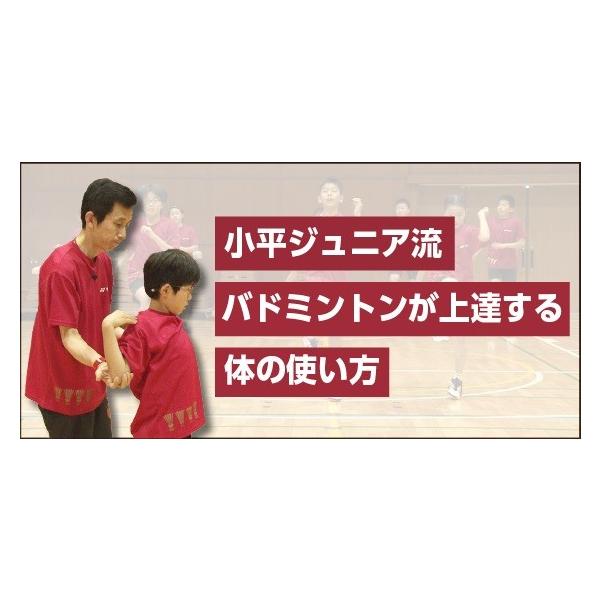 小平ジュニア流 基礎からつくるバドミントン上達法 DVD 城戸友行 954-S