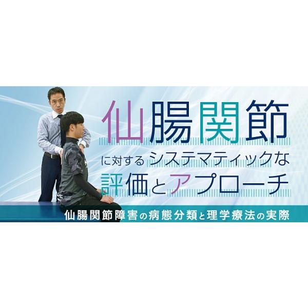 仙腸関節に対するシステマティックな評価とアプローチ DVD 成田崇矢 仙腸関節に対するシステマティックな評価とアプローチDVD （成田