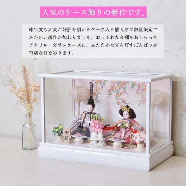 雛人形 コンパクト ケース飾り 今どき 可愛い おしゃれ ミニ ひな人形 