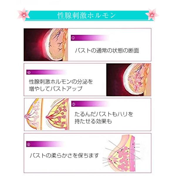バストケアバストアップVitalbra 低周波バストマッサージ