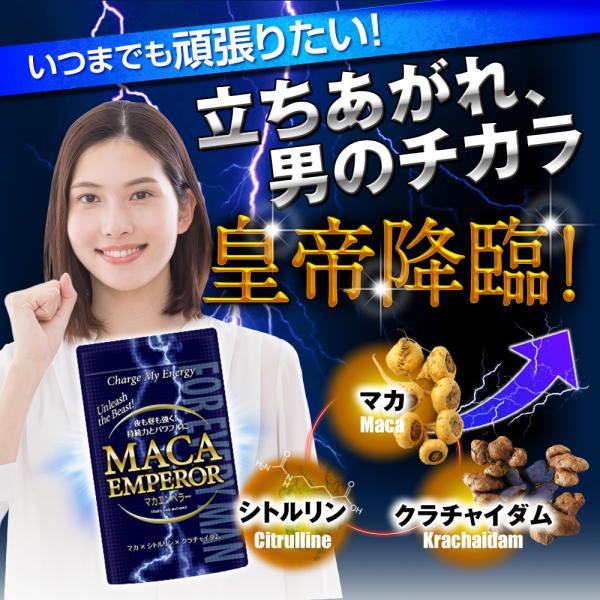 今ならポイント最大20倍 マカ シトルリン クラチャイダム 活力 サプリ