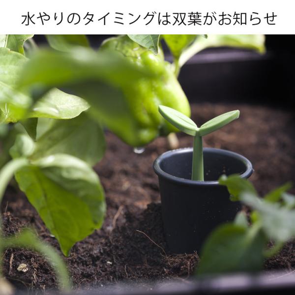 高床式菜園プランター 樹脂製 スタンド KETER ケター 植木鉢 おしゃれ