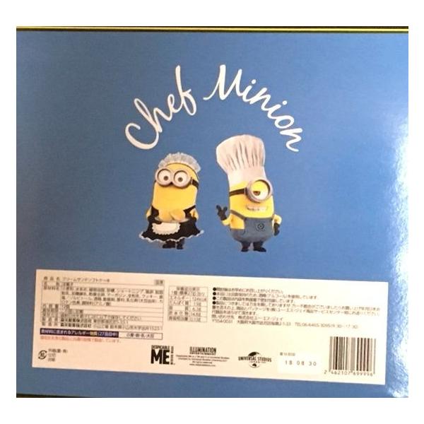 usj ユニバ ミニオン ソフトクリーム ケース usj ユニバ