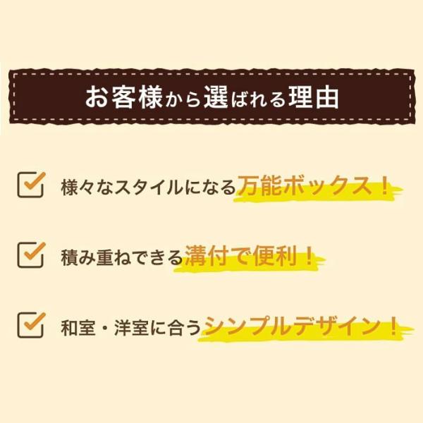 収納ケース インナーボックス 横置き カラーボックス収納 キッチン雑貨 収納 雑貨 キッチン 小物収納 プラスチック(ポストモダン１０)  /【Buyee】