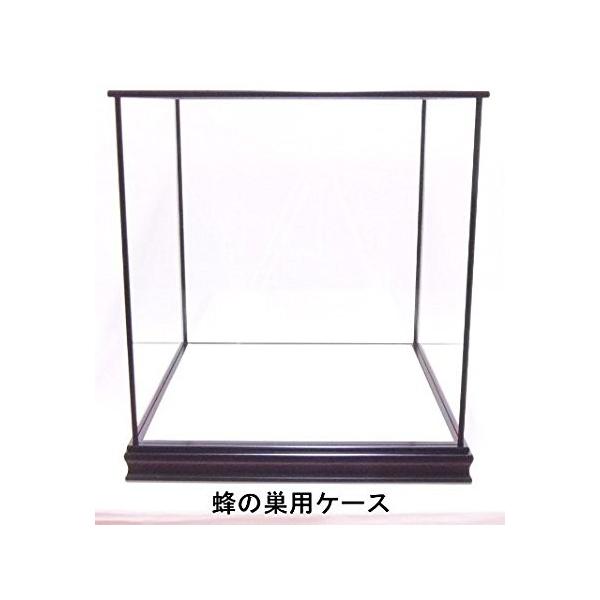 ガラスケース 収納ケース 五面 全面 ガラス カブセ式 五月人形 兜 鎧