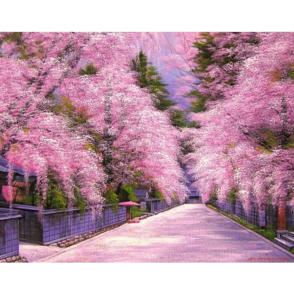 絵画、油絵、桜、桜の絵、角館の桜、木村 由紀夫 F10 455x530mm