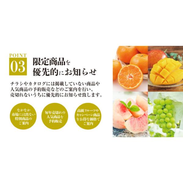 旬の果物〜青果市場直送 旬の果物〜青果市場直送 旬の果物〜青果市場直送 kahoudo-store_a-001