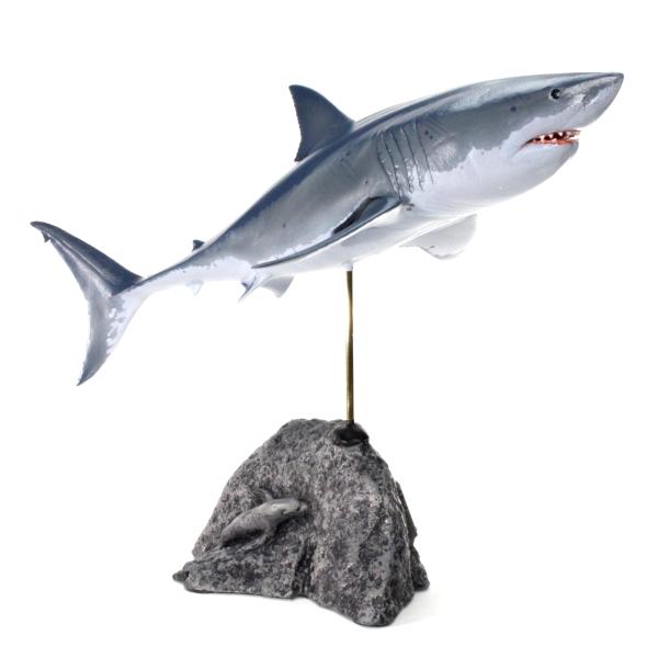 海の王者、ホホジロザメリアルフィギュア SKU250818T ホホジロザメ フィギュア2 プロモデル Great white shark