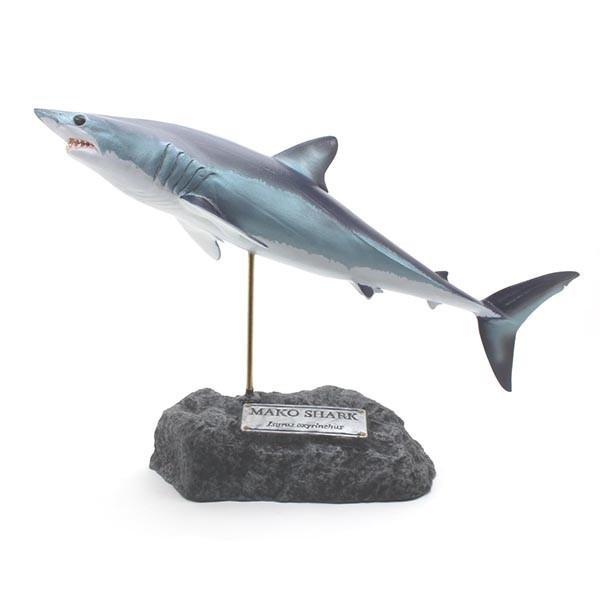 アオザメ　フィギュア アオザメ フィギュア Shortfin mako shark figure（フィッシュ