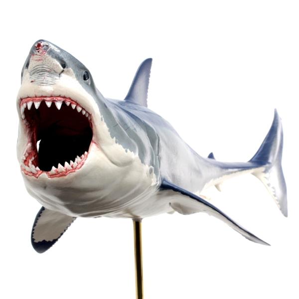 ホホジロザメ フィギュア2 プロモデル Great white shark（フィッシュカービング）※受注生産6ヵ月待ち（代引き不可） /【Buyee】  Buyee Japanese Proxy Service Buy from Japan!