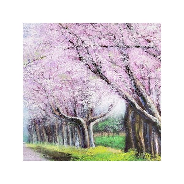 絵画 油絵 二十間道路桜並木 （木村由記夫） 【肉筆】【油絵