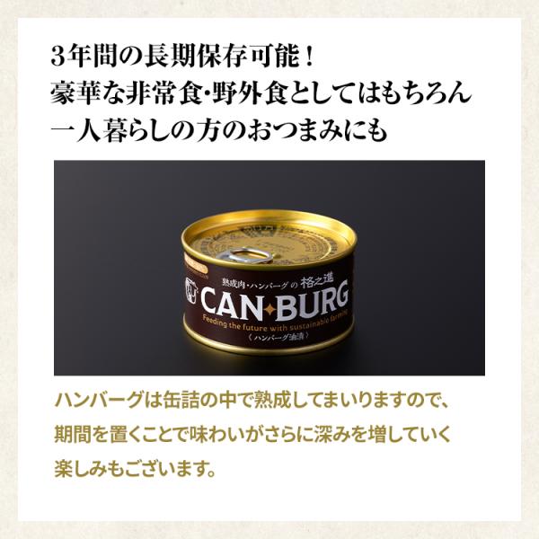 缶詰 お取り寄せ ギフト 防災食品 非常食 缶詰め セット キャンプ飯 格之進 ハンバーグ 12個（1箱3個入×4）備蓄食料 無添加 /【Buyee】