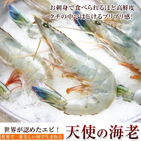 しょう　天使の海老2kg 天使の海老 特大 1kg 20-30尾入 天使のエビ 天使のえび 20/30 20