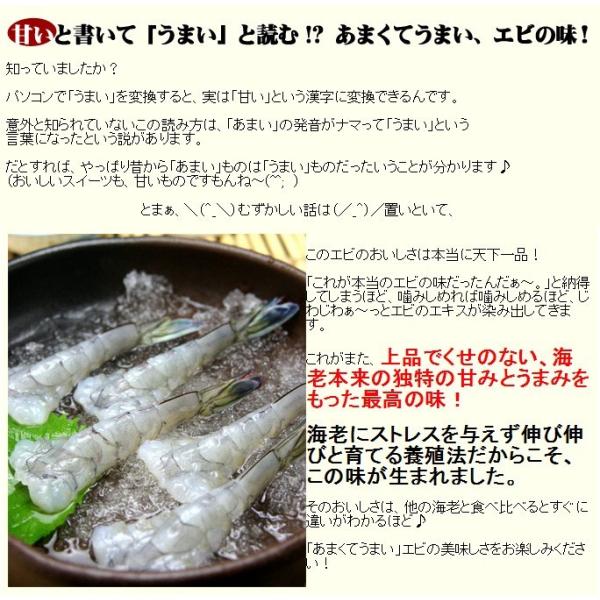 天使の海老 特大 1kg 20-30尾入 天使のエビ 天使のえび 20/30 20