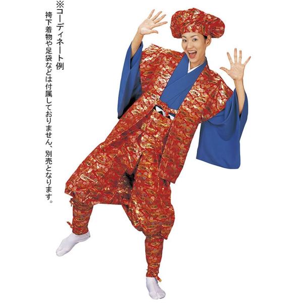 たっつけ袴 新舞踊日本舞踊 Amazon | 【ノーブランド品】 金襴袴(繁菱)-舞踊袴 日本舞踊
