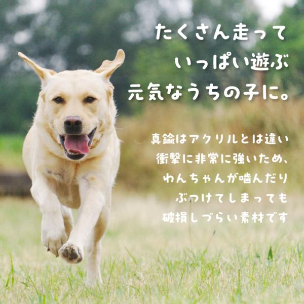 輝く 迷子札 犬 猫 骨型 ドッグタグ ペットタグ ネームタグ 真鍮 丈夫