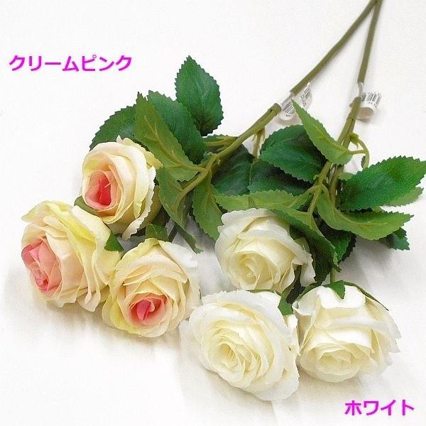 薔薇　3号 姫バラ 3号ポット | 橋本種苗園