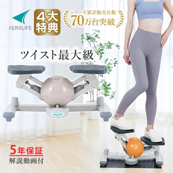 エアロライフ コアビクサー ツイストステッパー 静音 DR-3880 新色