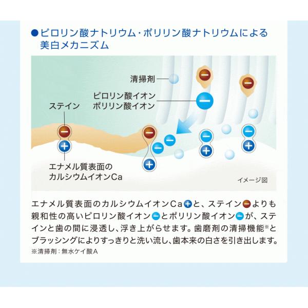 歯科専売 ホワイトニング 歯磨き粉 ブリリアントモアW お試し サイズ