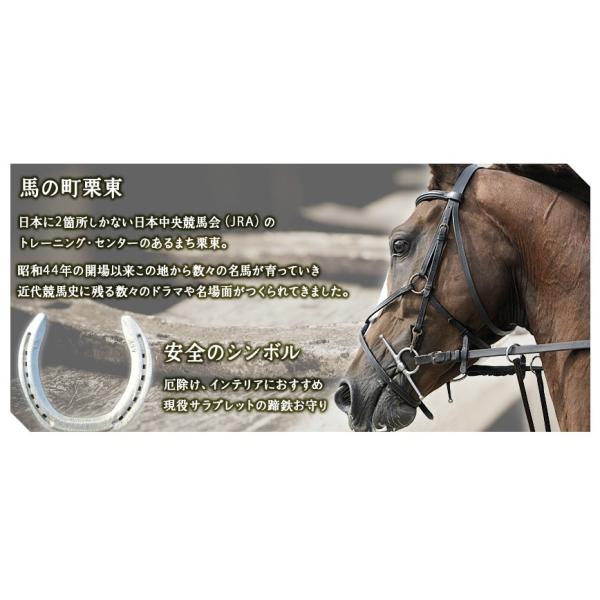 馬蹄鉄のお守り 現役サラブレッドの古蹄鉄 （開運蹄鉄 競馬 競走馬 開運グッズ ひづめ 乗馬）【通常配送】 /【Buyee】